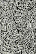 Ковер MANGO 11261-190